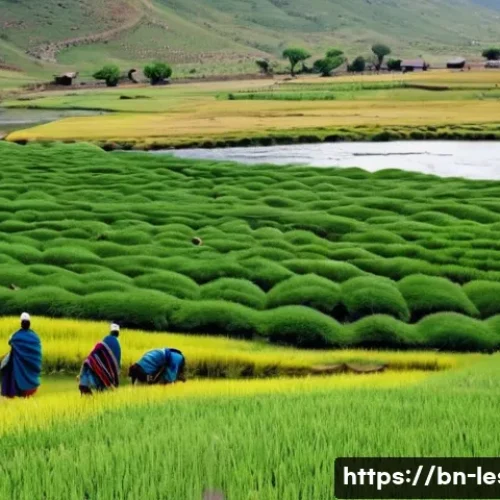 Home 24 레소토의 주요 뉴스 및 최근 이슈 - "Resilience Amidst Mountains: Lesotho's Economic Landscape"**
A picturesque, wide shot of the mount...