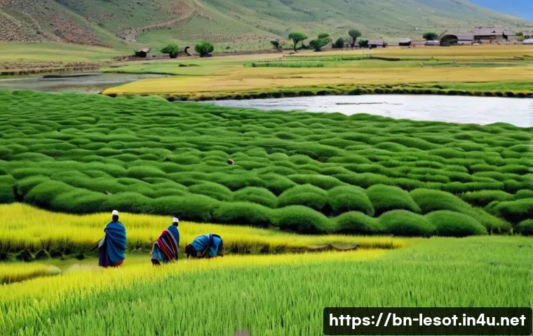 레소토의 주요 뉴스 및 최근 이슈 - "Resilience Amidst Mountains: Lesotho's Economic Landscape"**

A picturesque, wide shot of the mount...